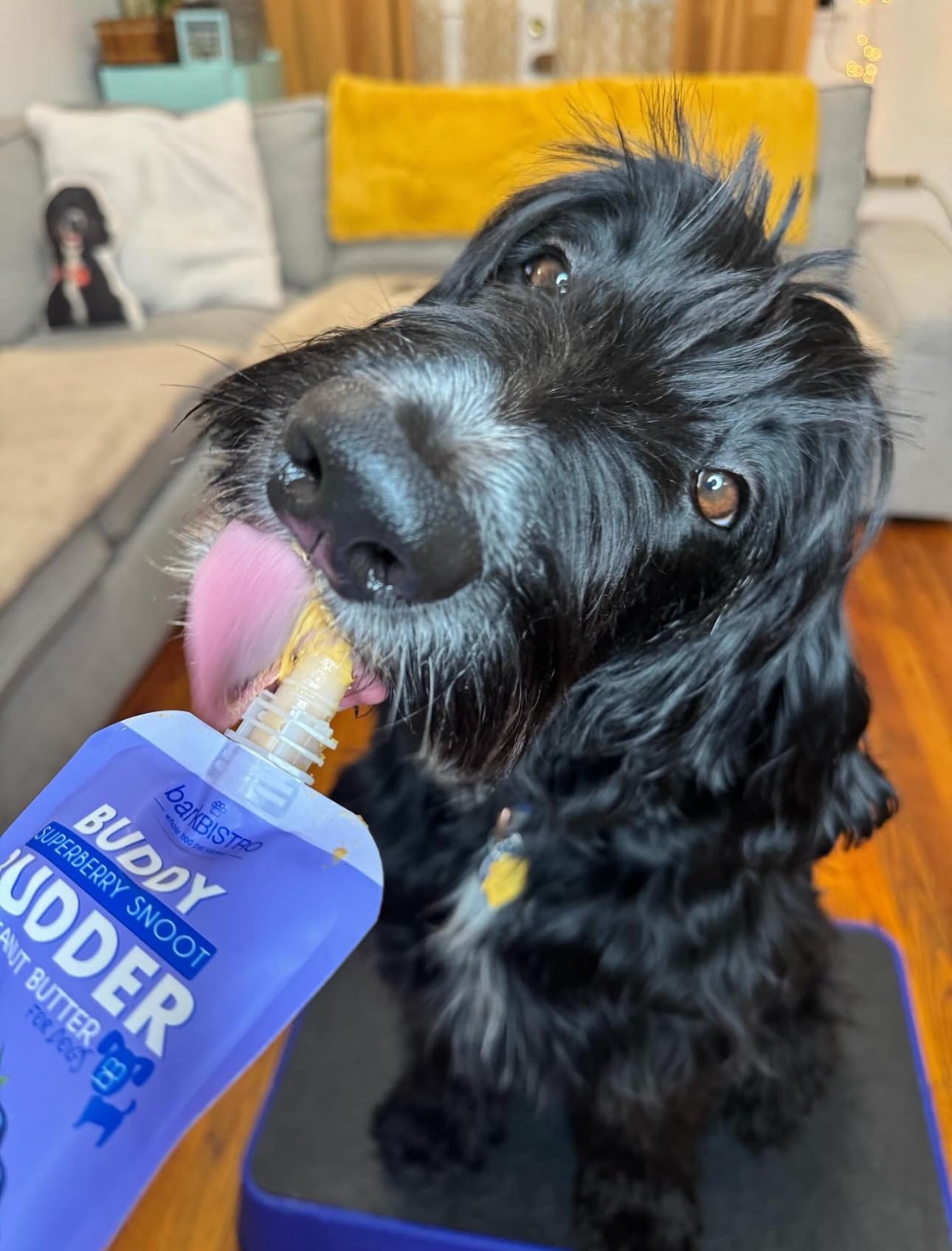 Buddy Budder portable snack packs for hiking and trips.