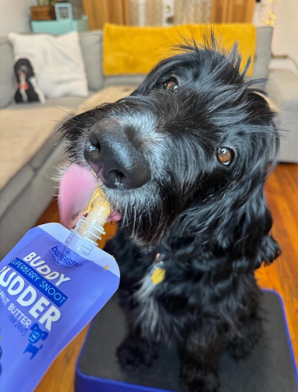 Buddy Budder portable snack packs for hiking and trips.