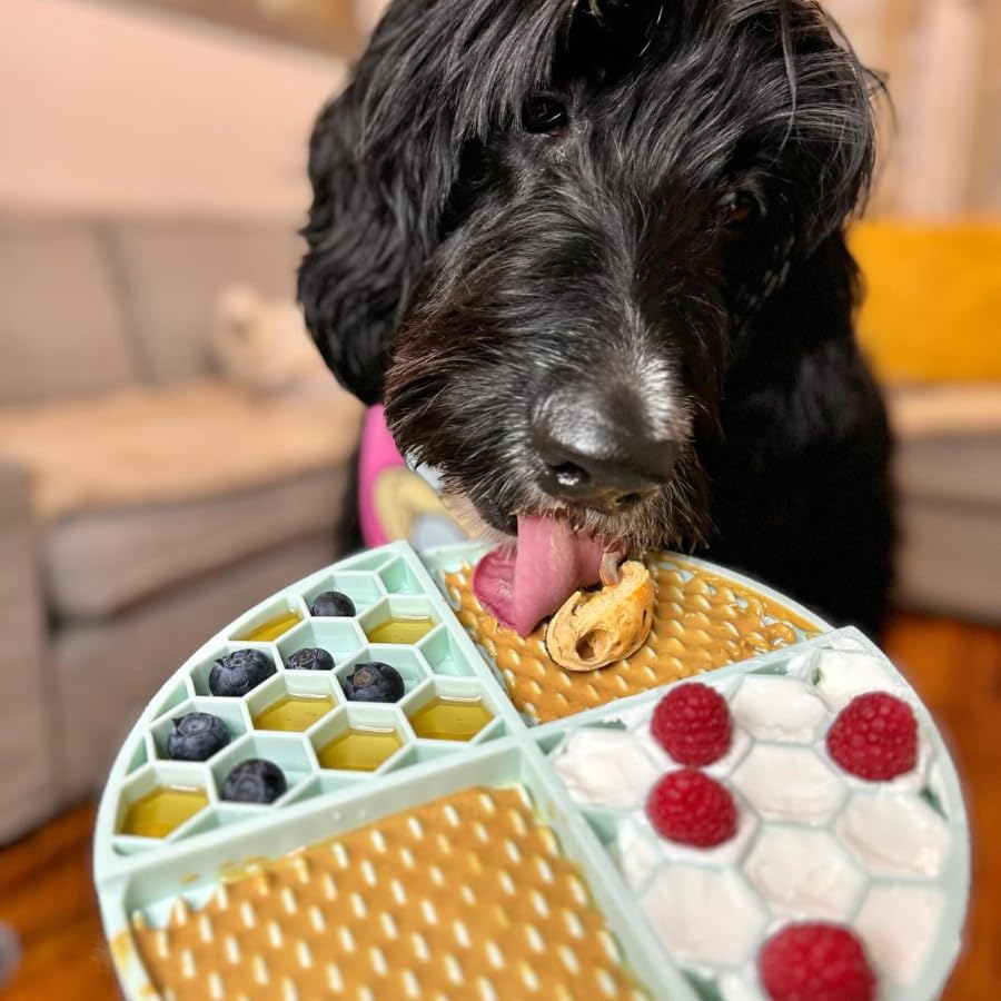 Buddy Budder training treats in squeezable packs during training.