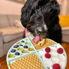 Buddy Budder training treats in squeezable packs during training.