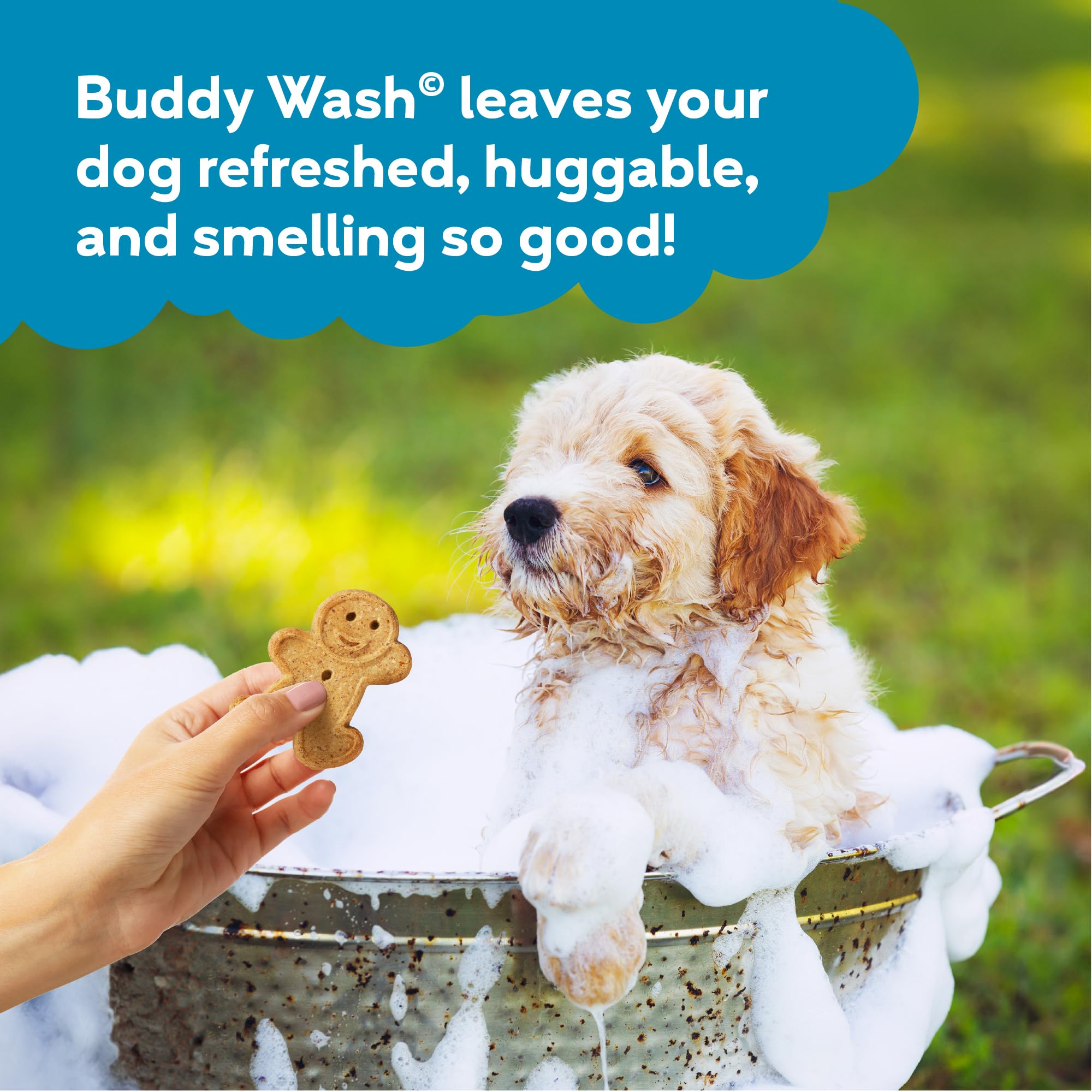 Buddy Grooming Wash rosemary-mint bottle with dog paw logo signals gentle care