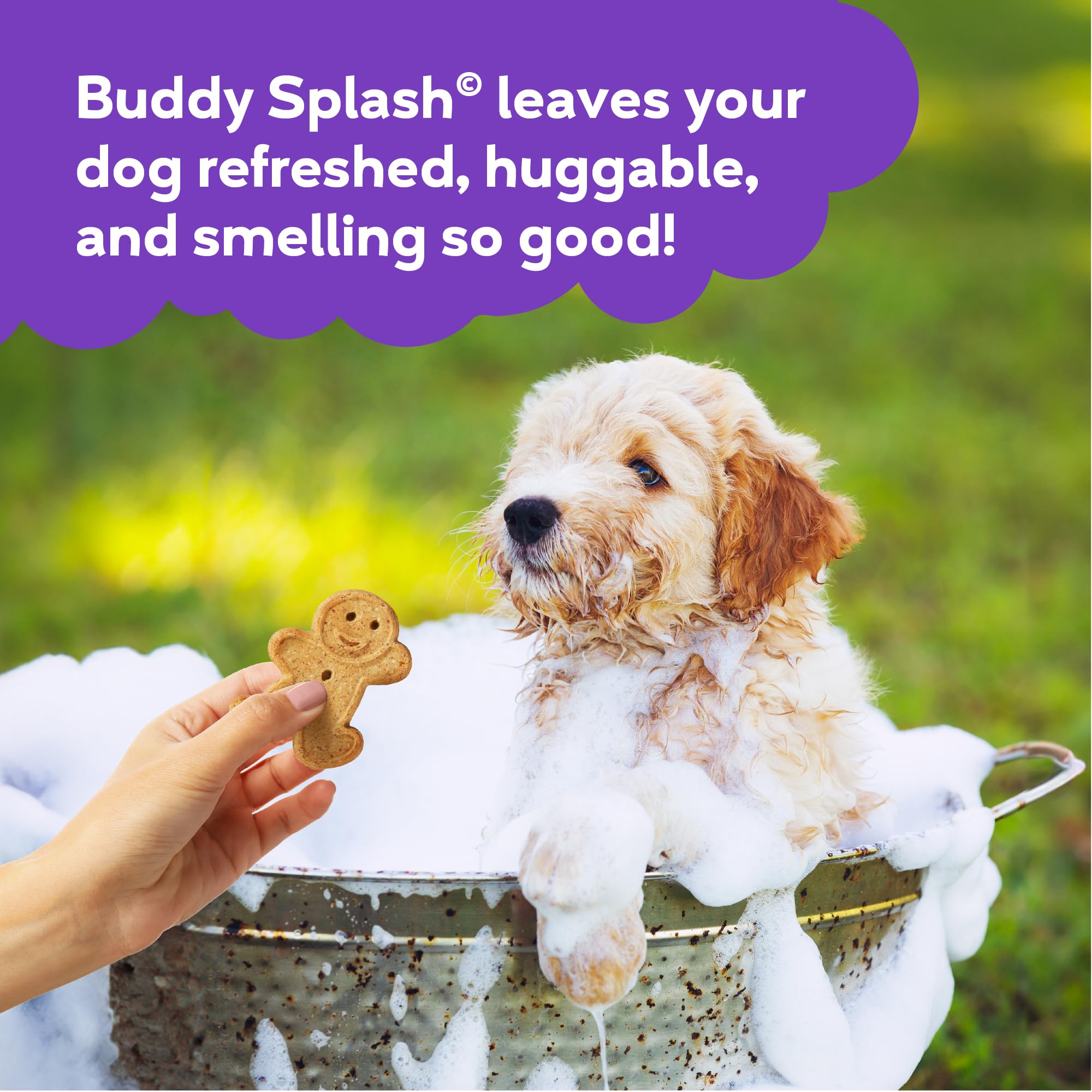 Buddy Splash Spritzer lavender-mint scent enhances calm grooming sessions.