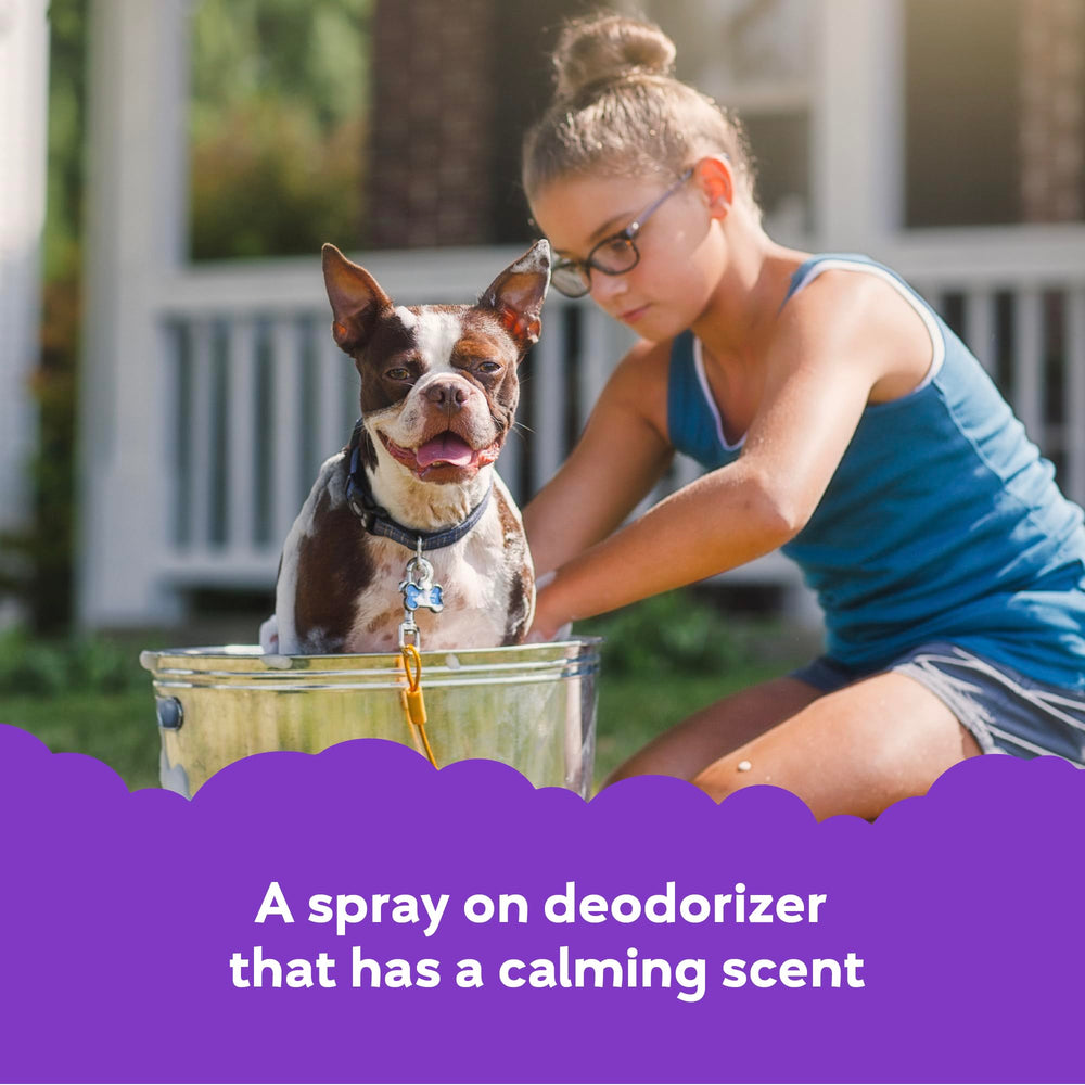 Buddy Splash Spritzer spray-on formula deodorizes and refreshes coats between baths.