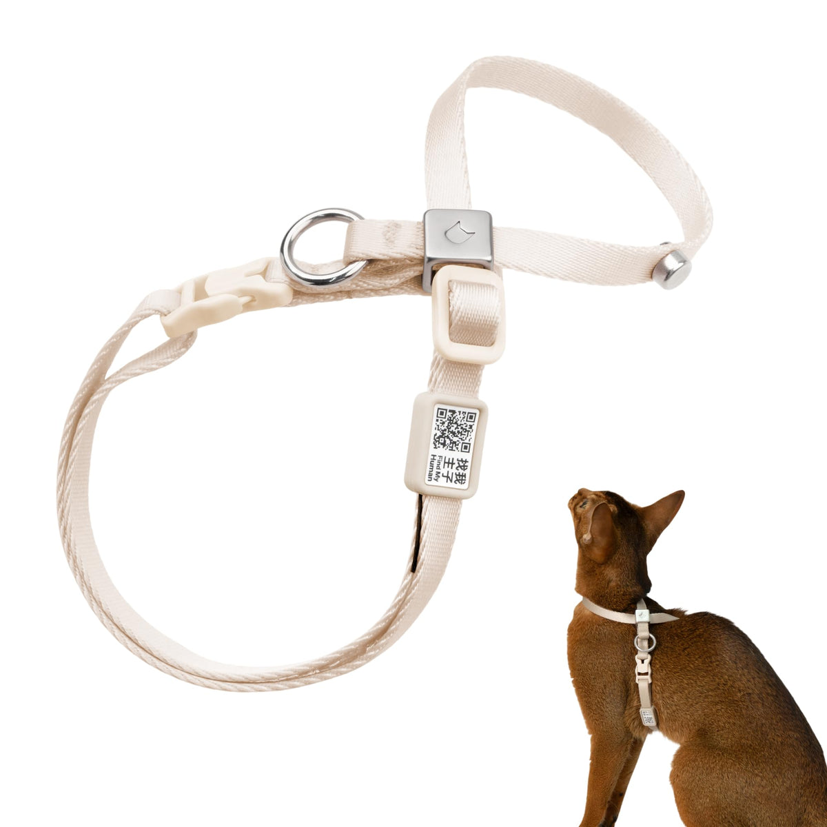 BuddyArmor escape-proof harness on cat, secure fit for confident outdoor walks