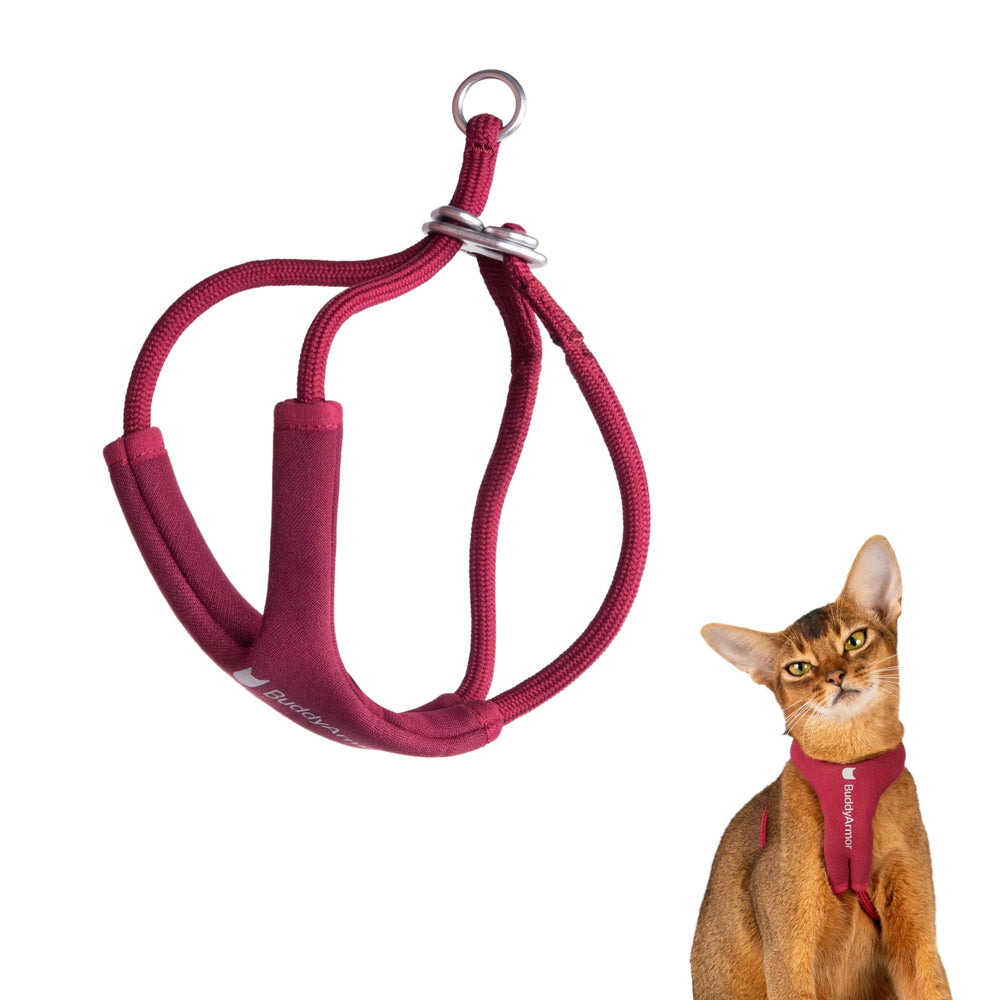 BuddyArmor escape-proof Y Shape harness front view for secure daily walks.