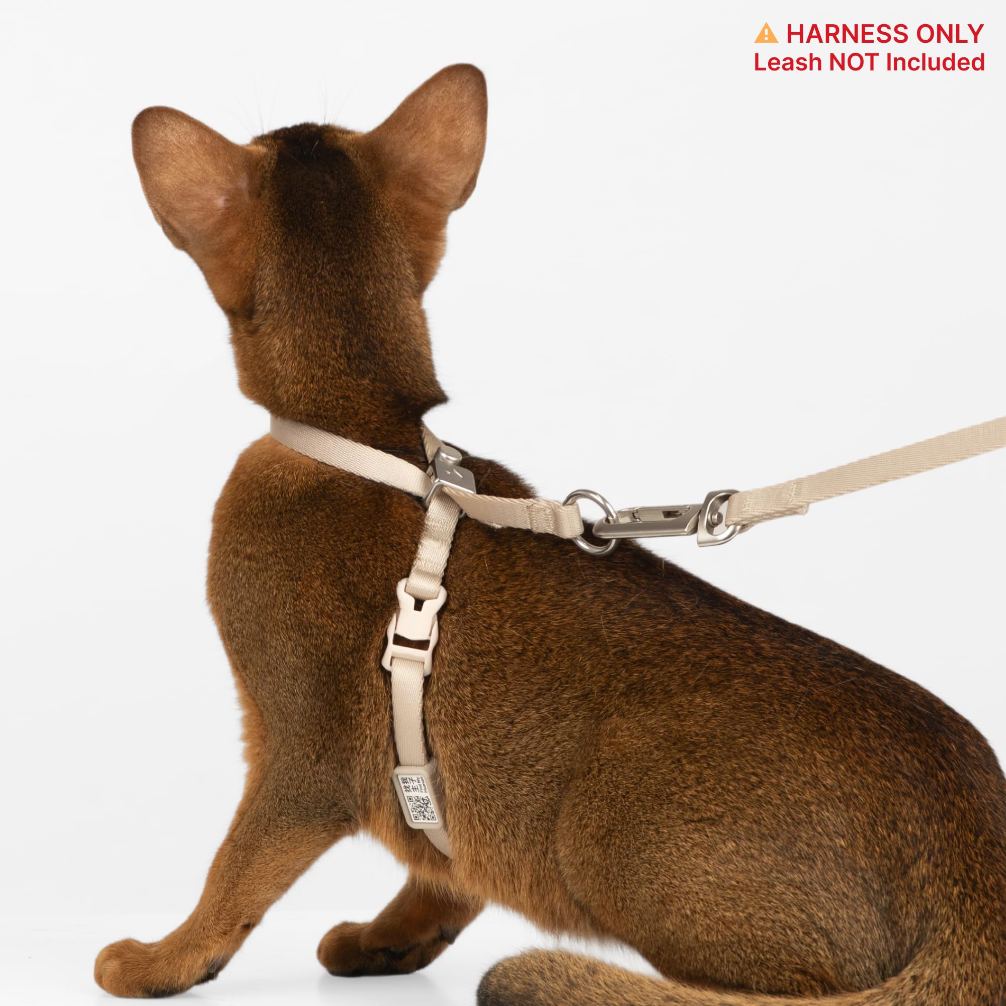 BuddyArmor adjustable tri-glide buckle tailors fit for different cat sizes