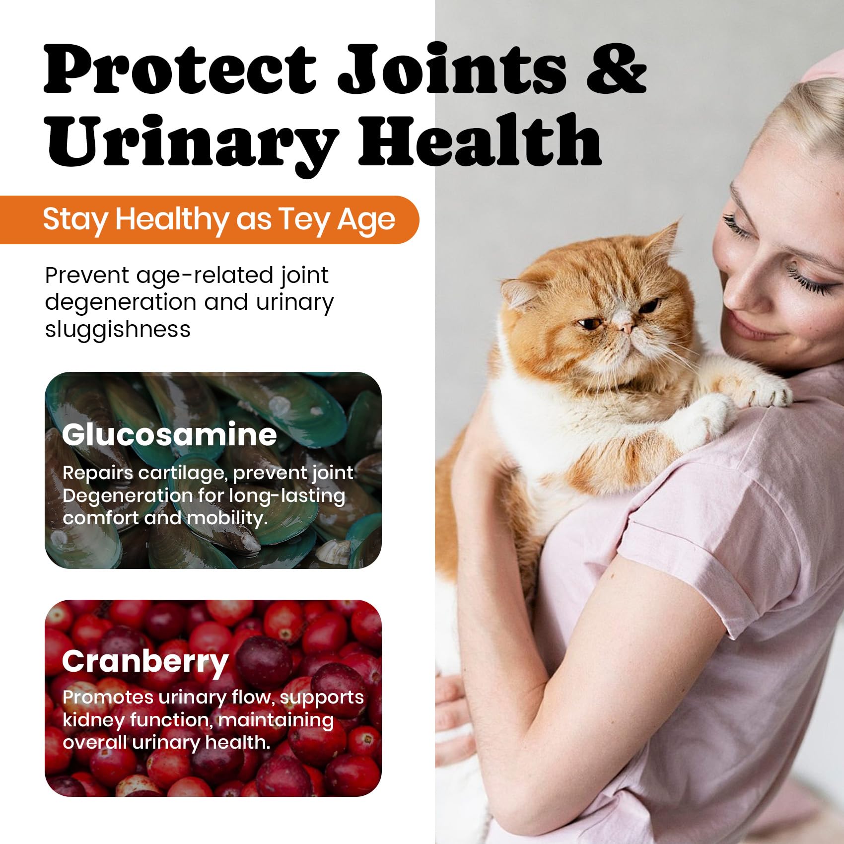 BuddyCheer cat vitamin treats beside water bowl and toy, easy daily routine integration