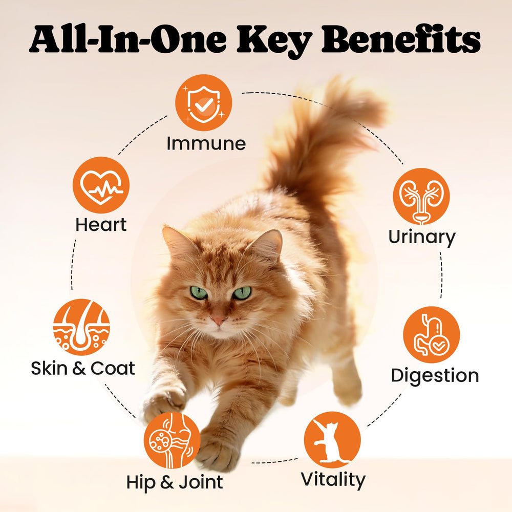 BuddyCheer cat vitamin treats chews on dish, highlighting easy daily dose for indoor cats