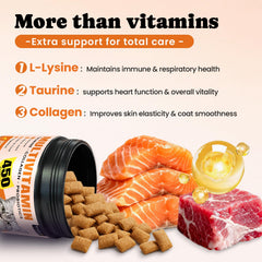 BuddyCheer cat vitamin treats close-up of ingredients label highlighting L-Lysine and Taurine benefits
