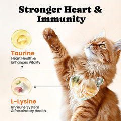 BuddyCheer packaging notes 12 vitamins and 5 minerals for comprehensive feline support