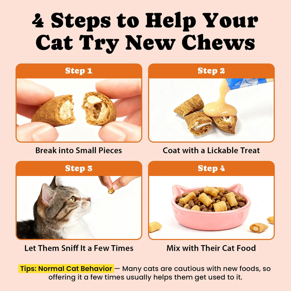 BuddyCheer treats near senior cat, suggesting joint and mobility support