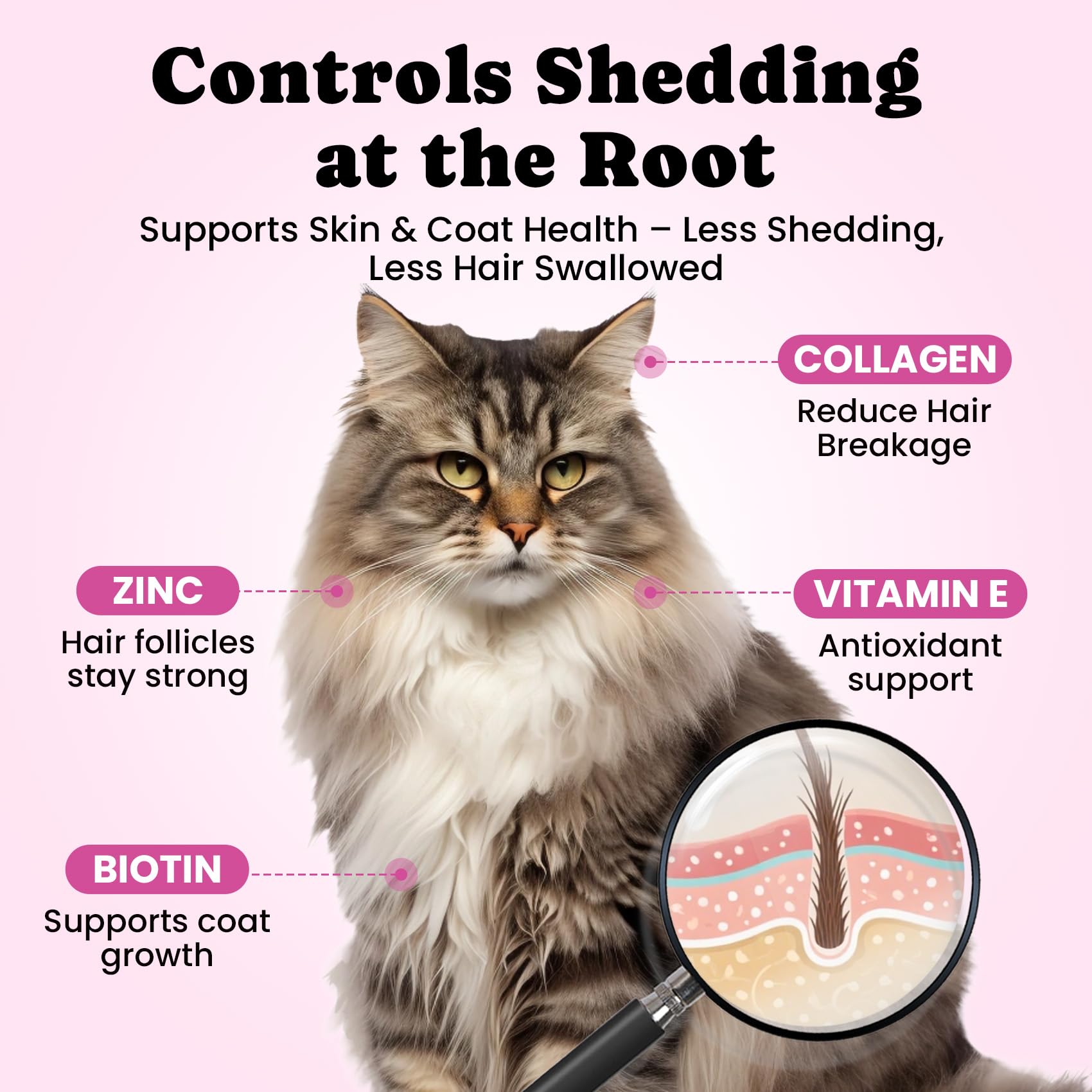 BuddyCheer daily chicken-flavored chew simplifies hairball care routines.