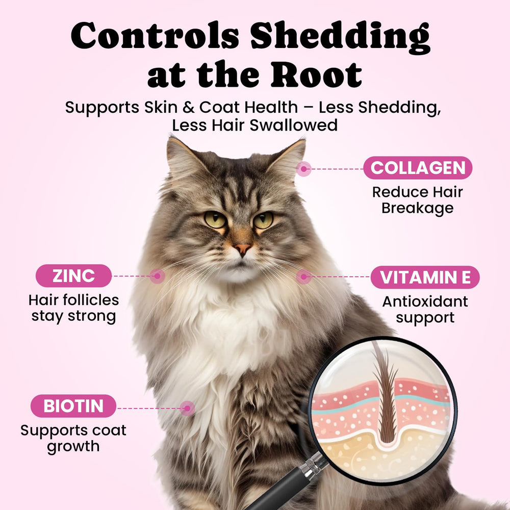 BuddyCheer daily chicken-flavored chew simplifies hairball care routines.
