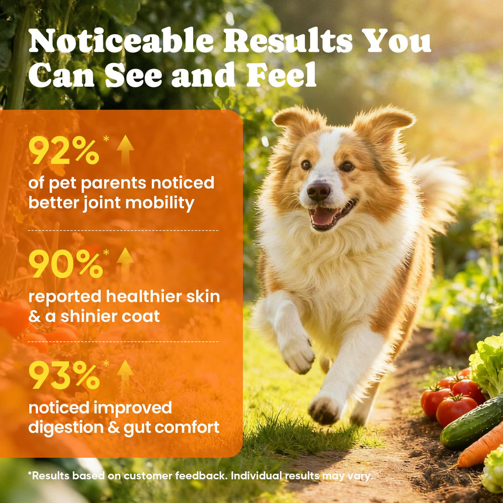 BuddyCheer digestive enzymes prebiotic chews closeup supporting comfortable digestion