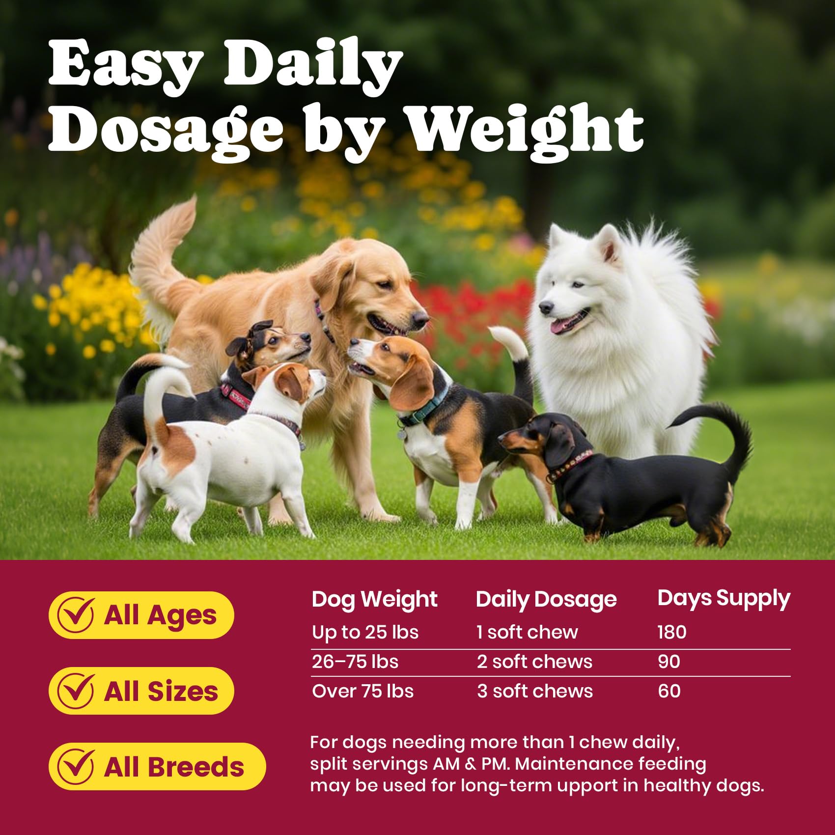BuddyCheer joint supplement for dogs with chondroitin supports daily comfort