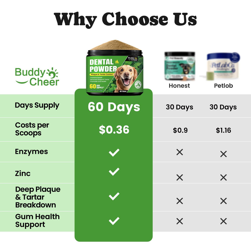 BuddyCheer enzymes, seaweed, probiotics, and zinc blend supports routine dental care.