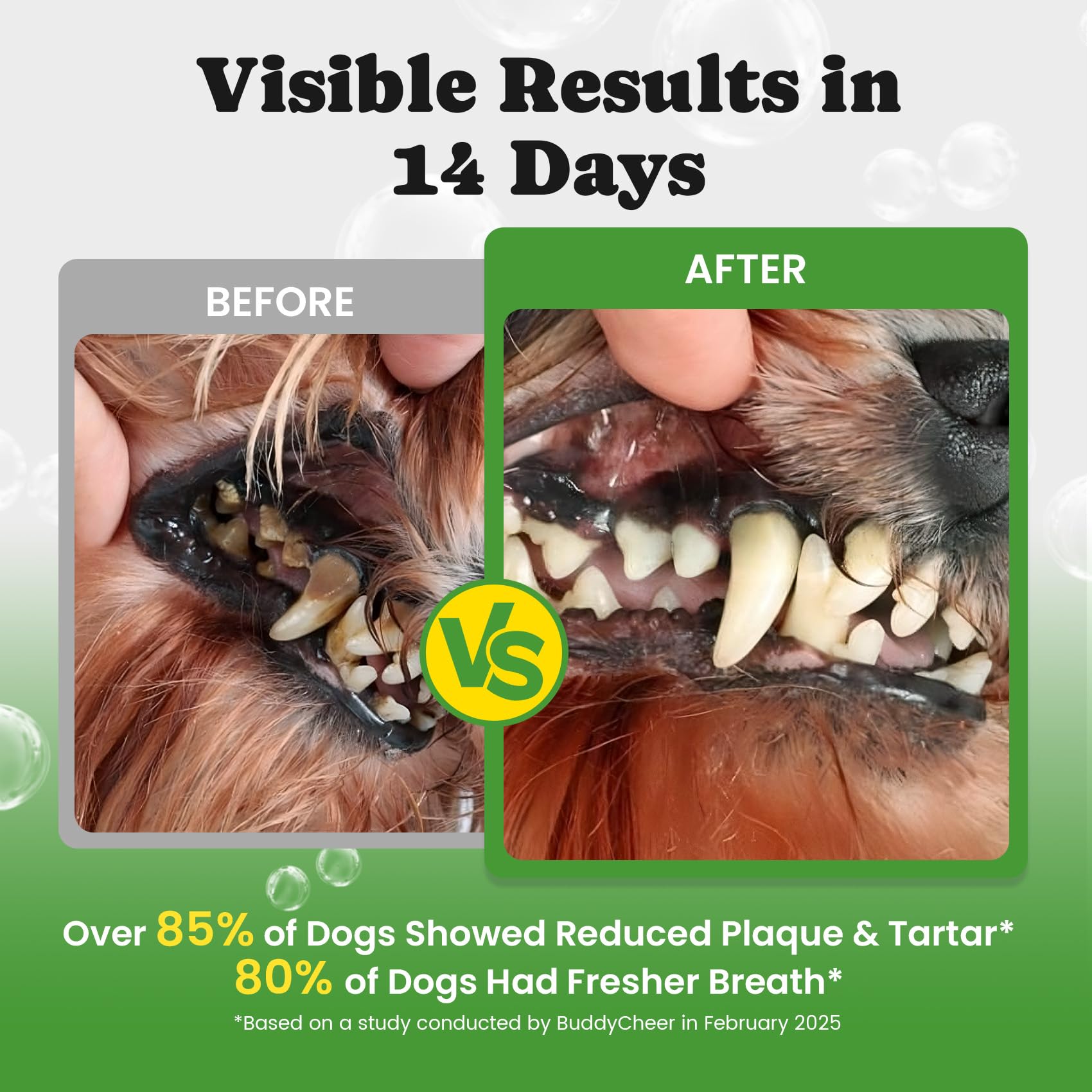 BuddyCheer dog teeth cleaning powder measuring scoop for accurate dosing.