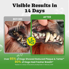 BuddyCheer dog teeth cleaning powder measuring scoop for accurate dosing.