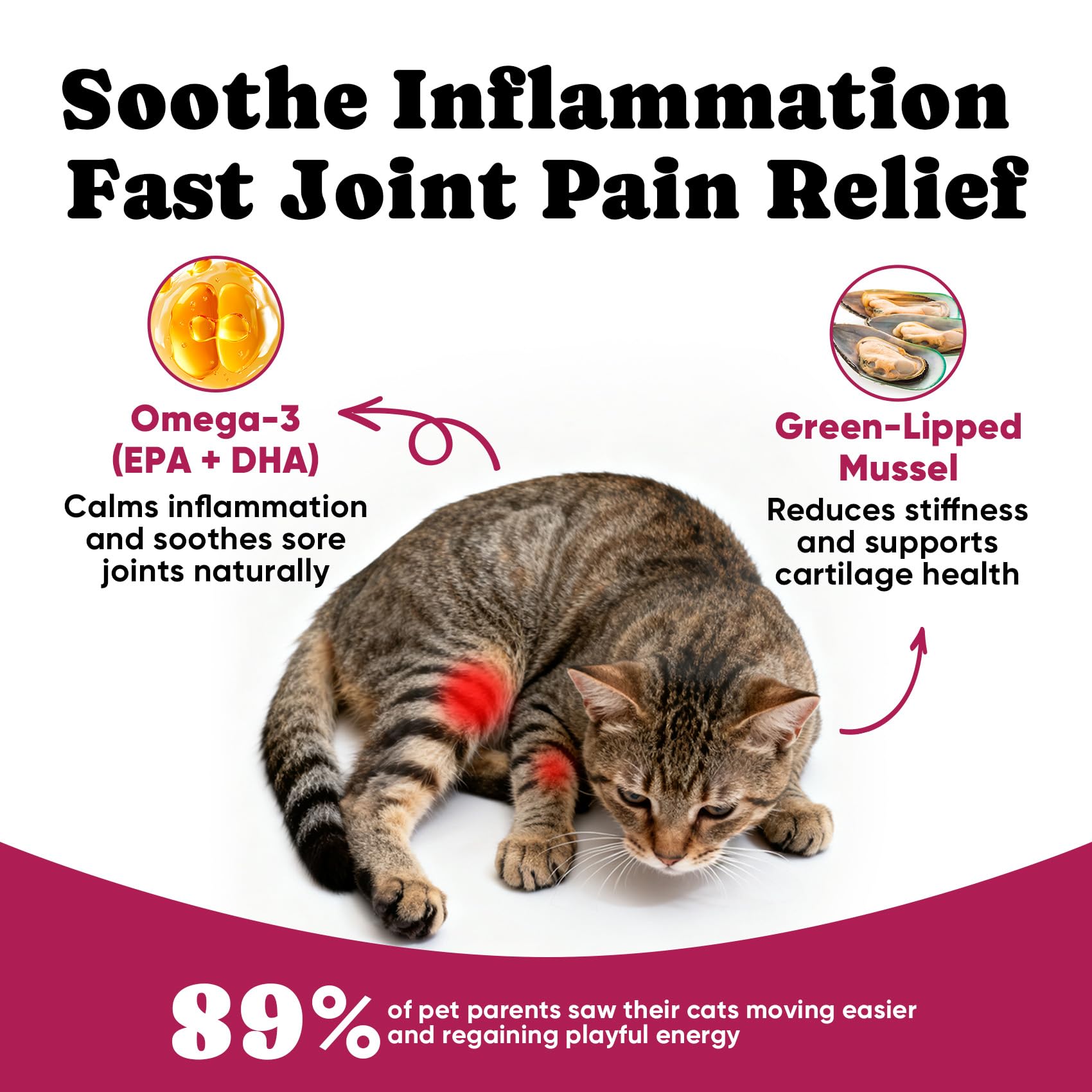 BuddyCheer glucosamine cats cartilage-support close-up