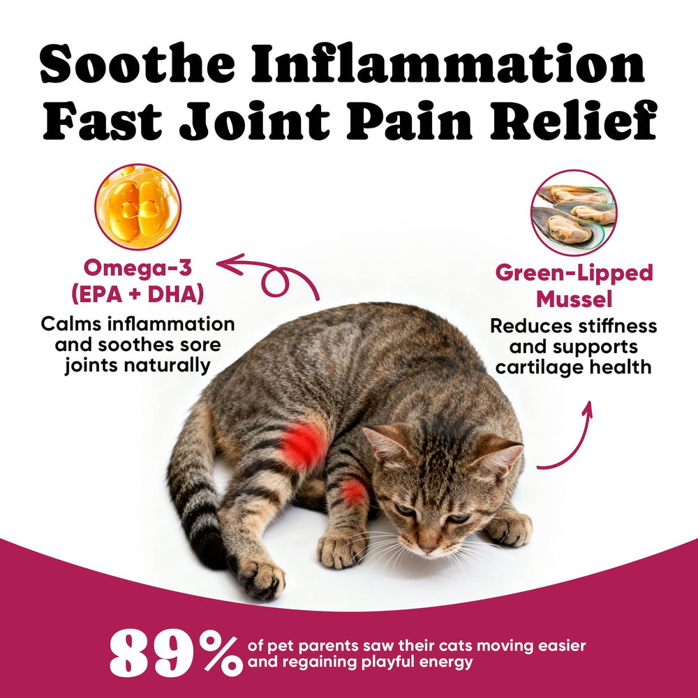 BuddyCheer glucosamine cats cartilage-support close-up