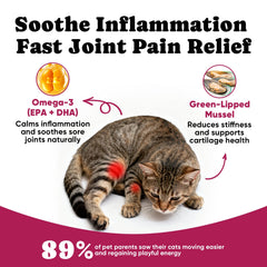 BuddyCheer glucosamine cats cartilage-support close-up
