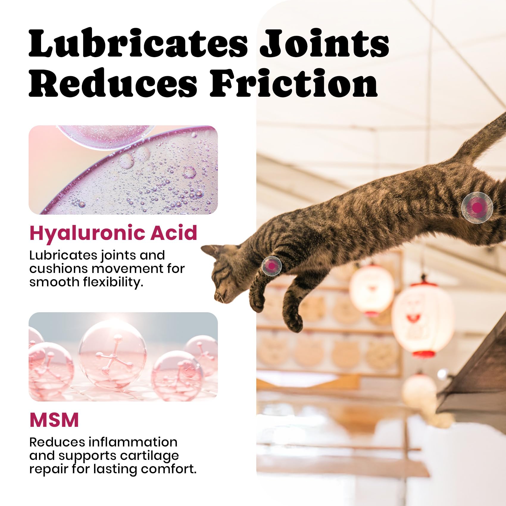 BuddyCheer glucosamine cats vitamin e zinc manganese panel indicating antioxidant support