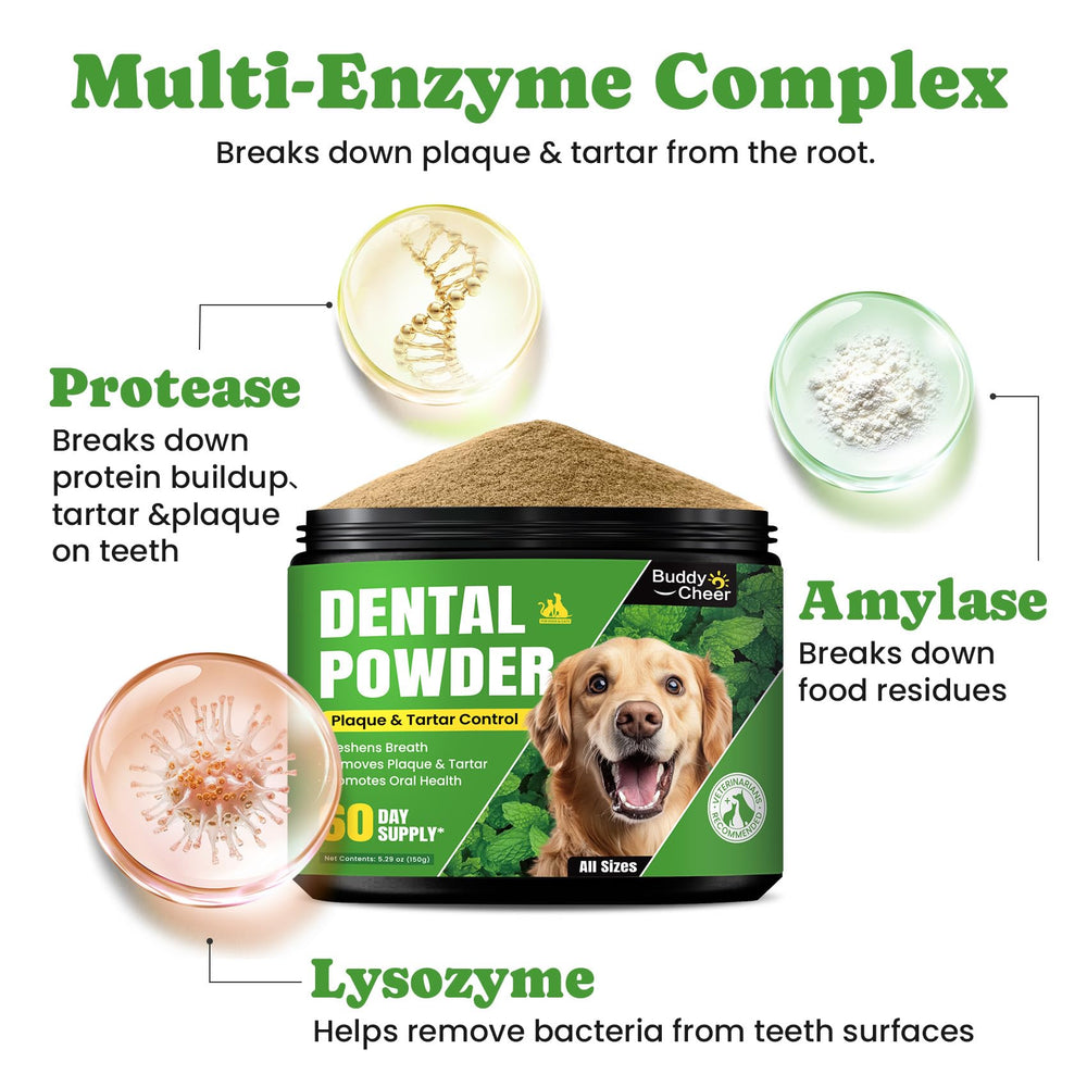 BuddyCheer mint and green tea formula for fresher breath.