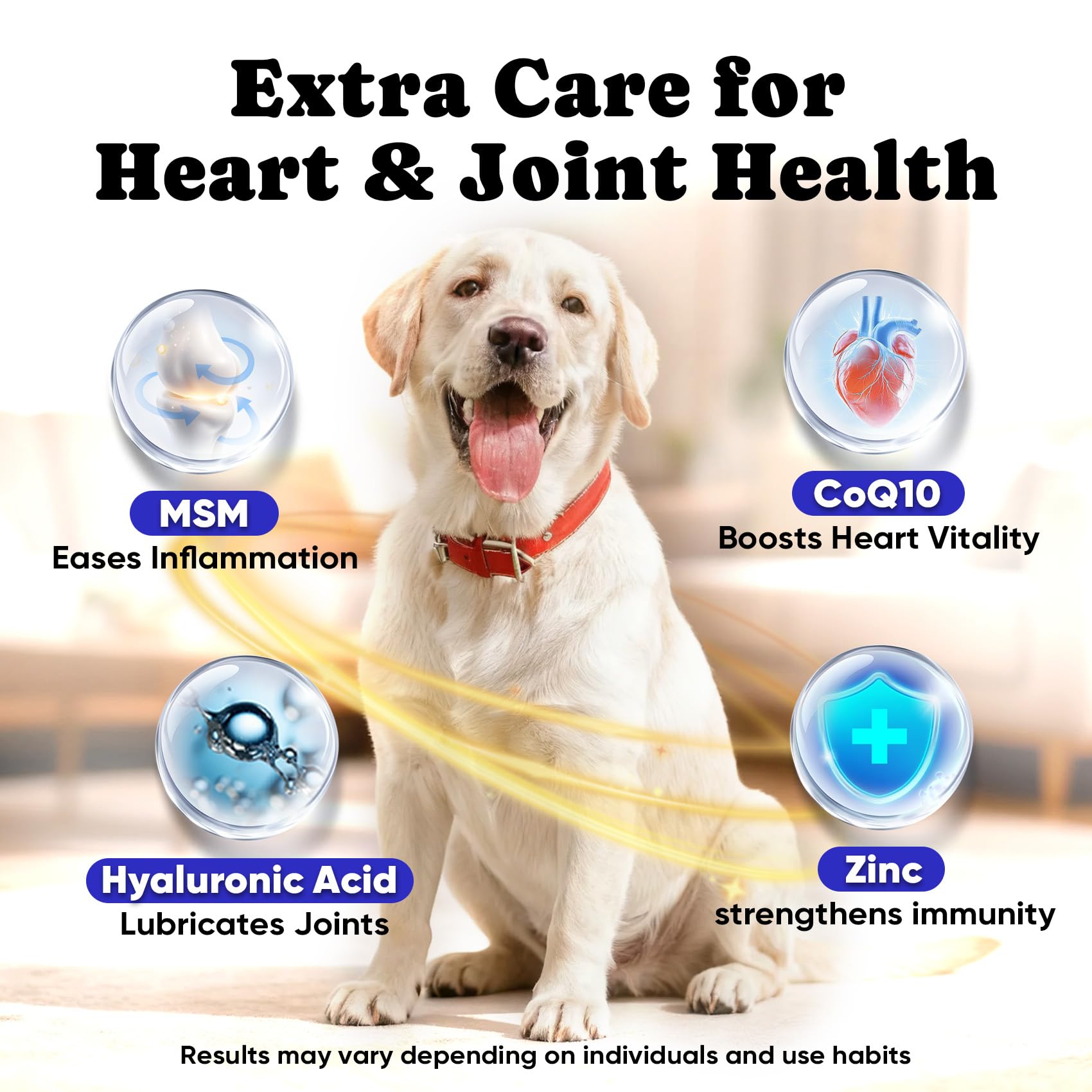 BuddyCheer Heart health energy graphic for cardiovascular vitality