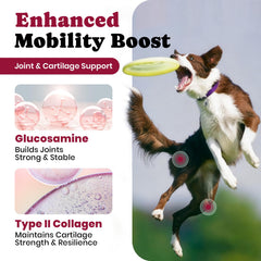 BuddyCheer hyaluronic acid dog supplement supports cartilage and smoother movement