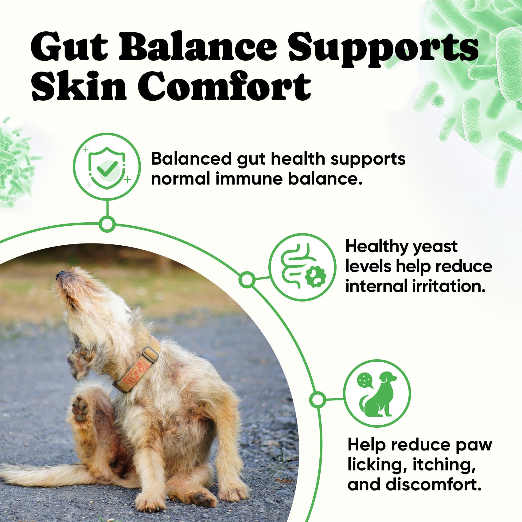BuddyCheer Probiotics for Dogs dispensing chews from a bowl, easy daily addition.