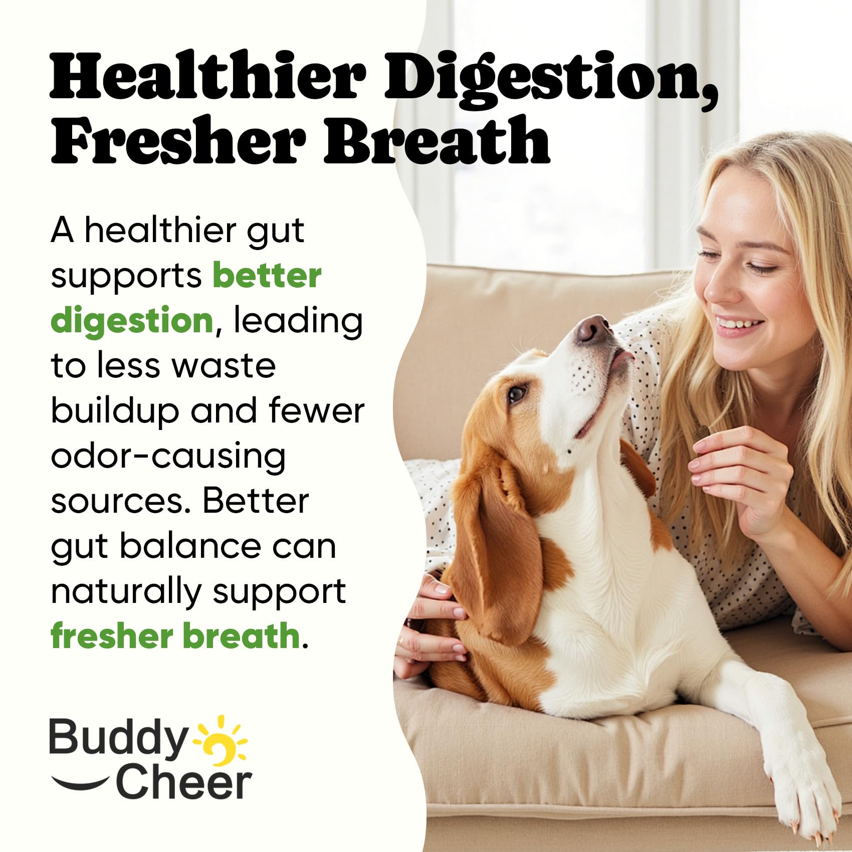 BuddyCheer Probiotics for Dogs ingredients include pumpkin and papaya for natural care.