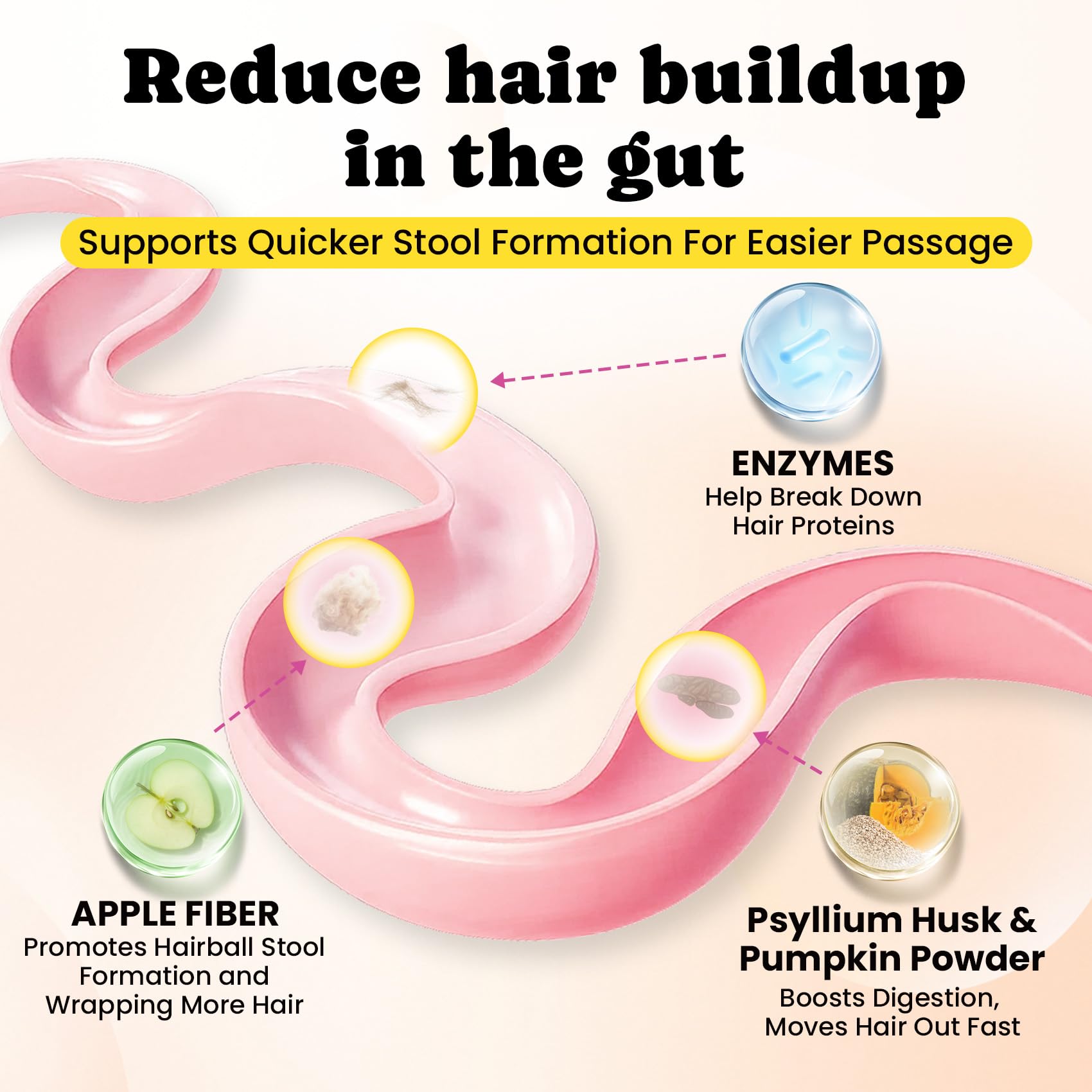 BuddyCheer probiotics and prebiotics promoting balanced gut health for cats.