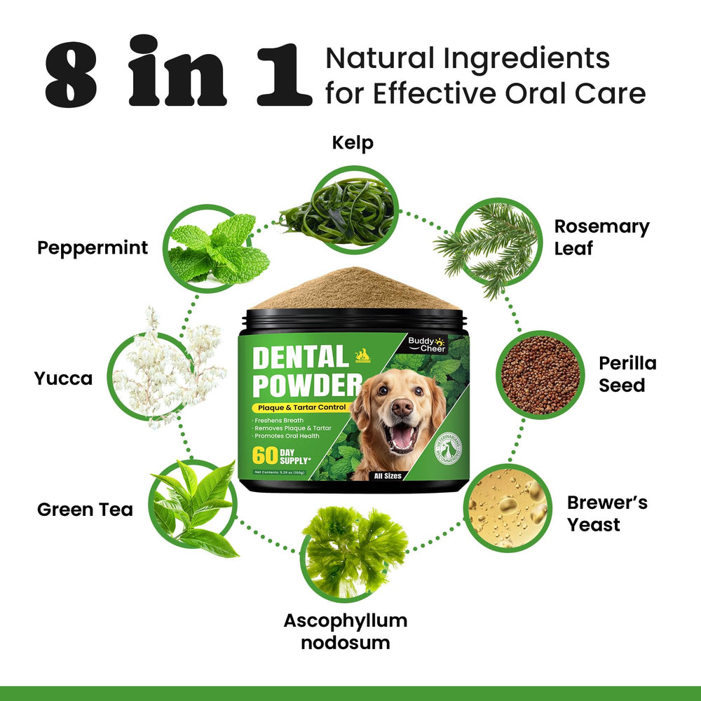 BuddyCheer vet-approved seal signals safe dental care.