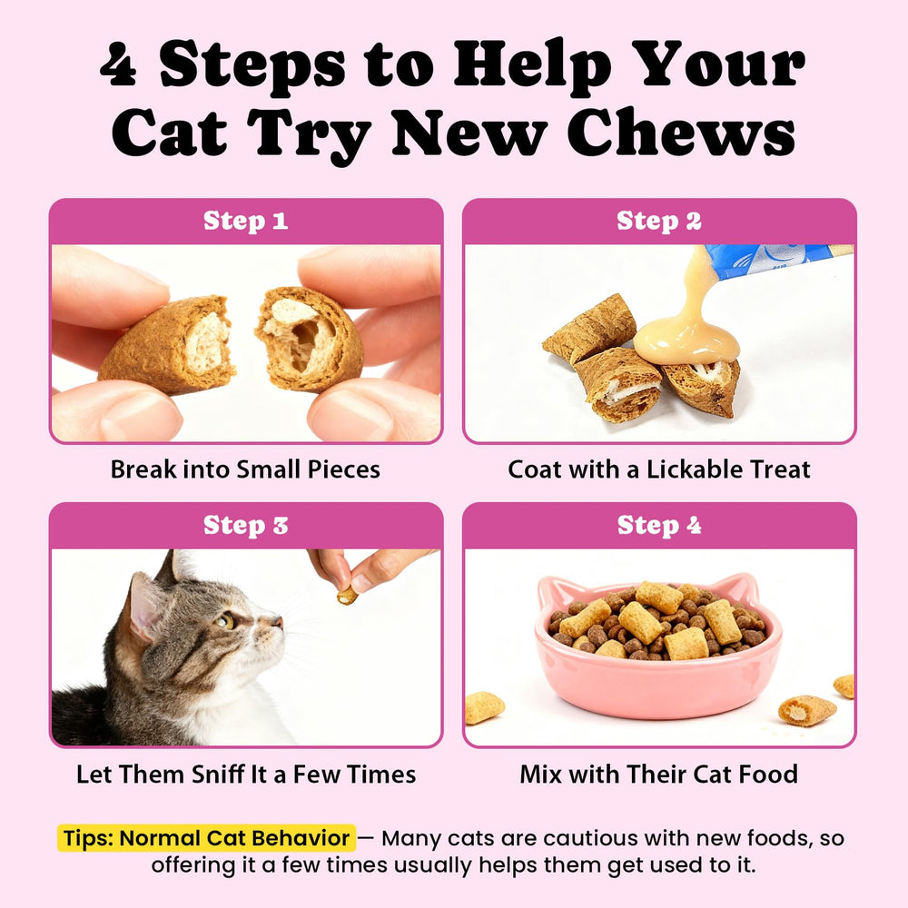 BuddyCheer vet-recommended formula shown for trusted coat and digestion support.