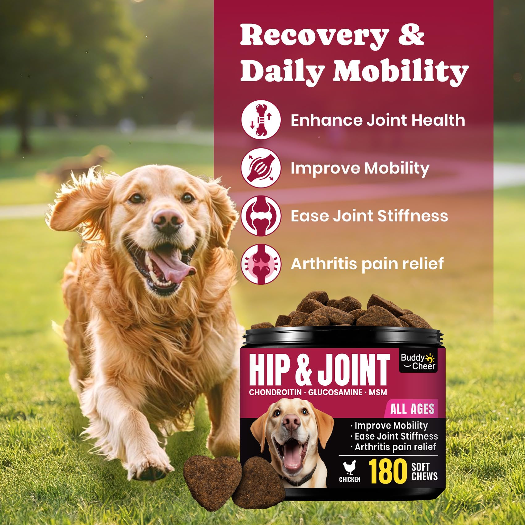 BuddyCheer wuffe joint chews senior dogs with enhanced mobility in daily activities
