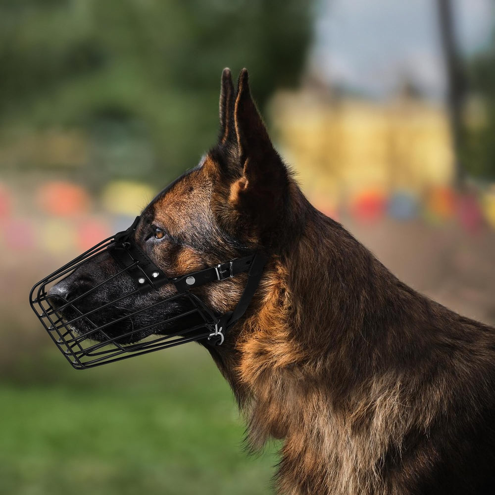 BUDKAS Durable Construction: built to last through training.
