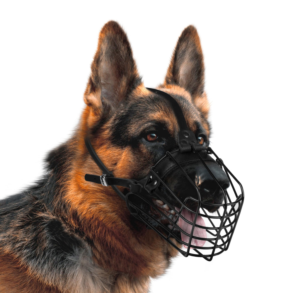 BUDKAS Muzzle robust construction for daily use and durability