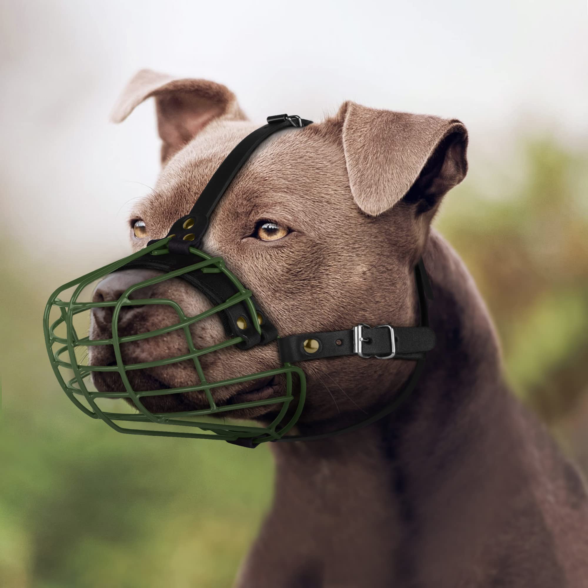 BUDKAS pitbull muzzle breathable design allows natural panting.