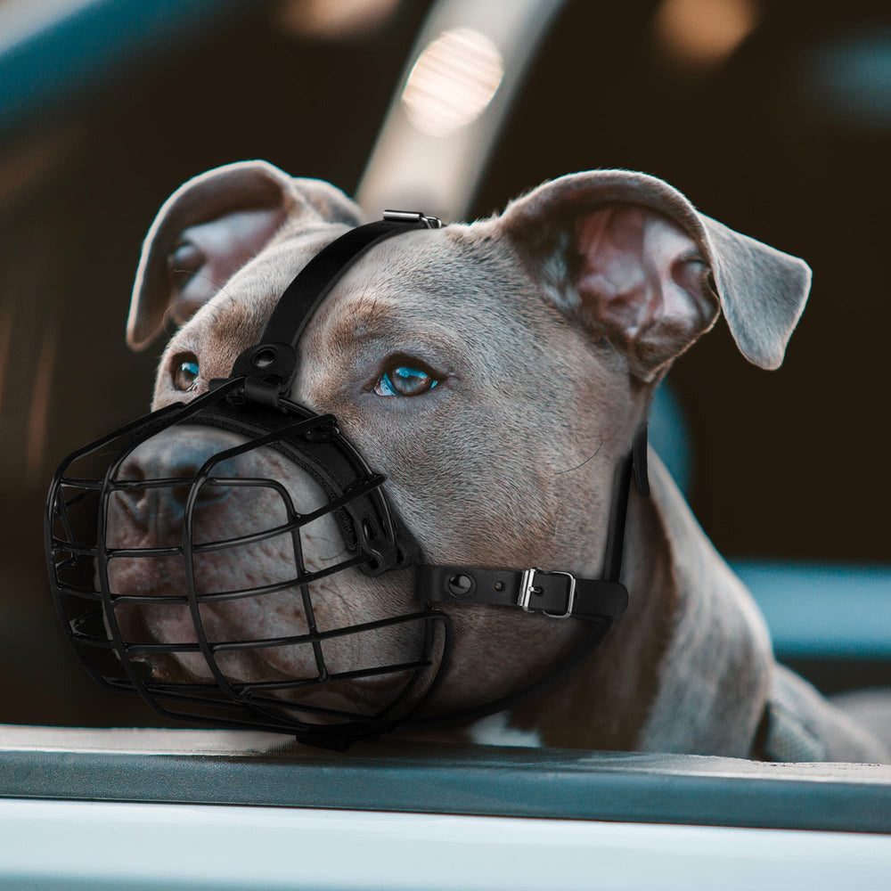 Budkas Pitbull Muzzle durable metal mask protects during walks.