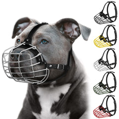 BUDKAS Pitbull muzzle with metal mask for secure control during walks.