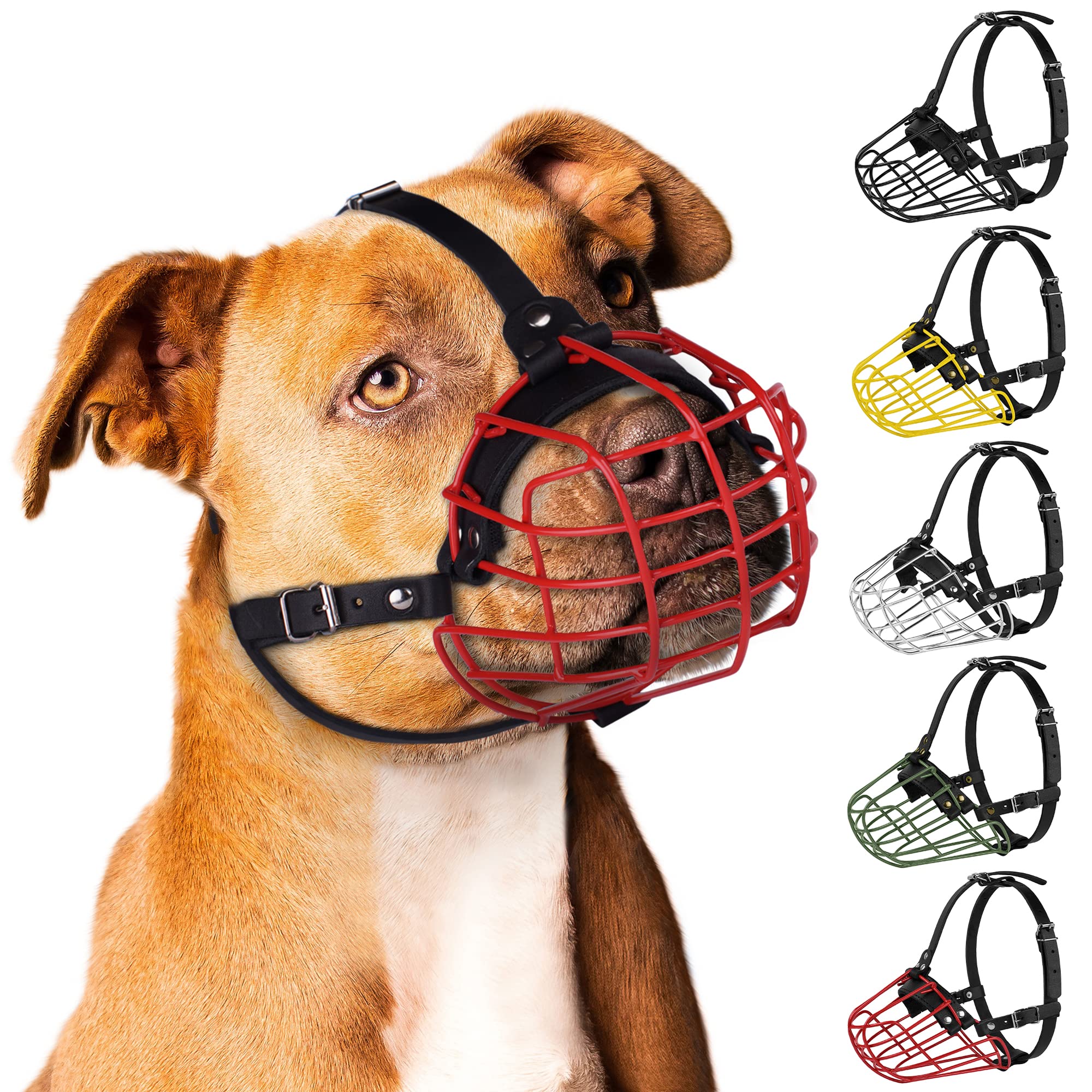 BUDKAS pitbull muzzle during walks and training scenarios.