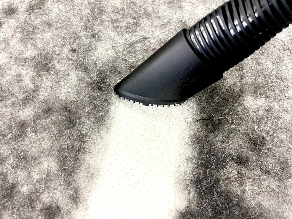 Buff Brite Fur Remover PRO II attached to vacuum capturing hair from carpet