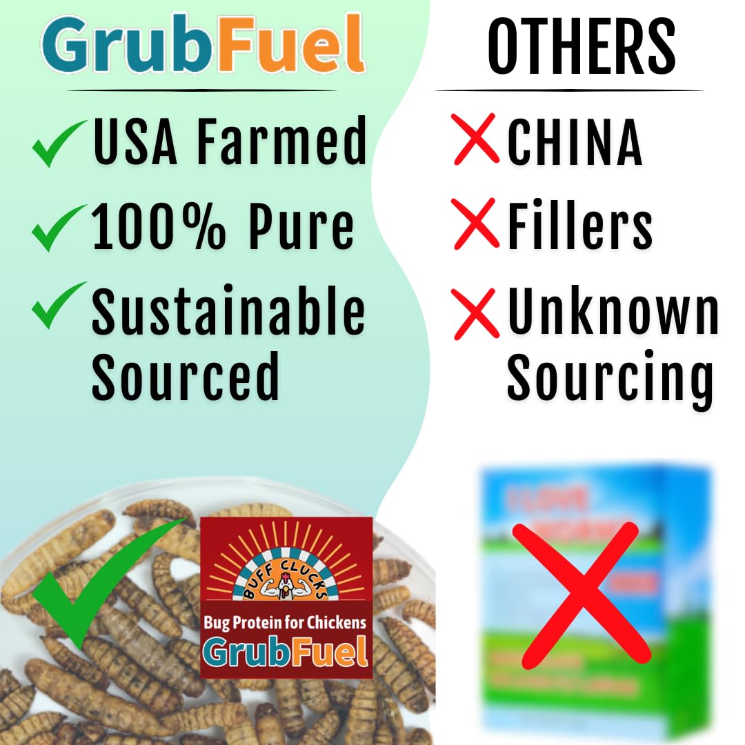 Buff Clucks GrubFuel closeup of dried larvae, high quality BSFL for digestion and resilience.