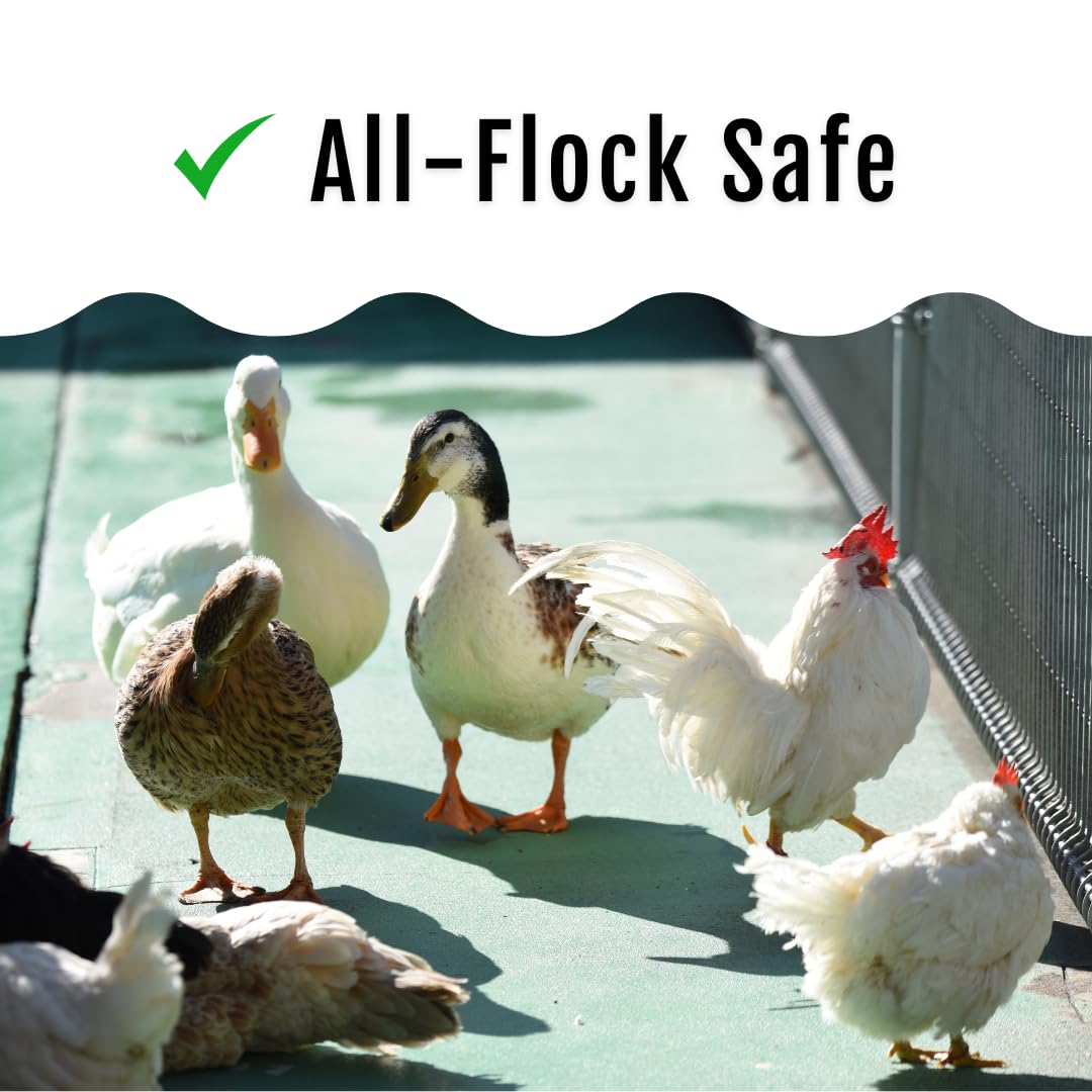 Buff Clucks GrubFuel nutrition chart, calcium and essential fats for plumage health.