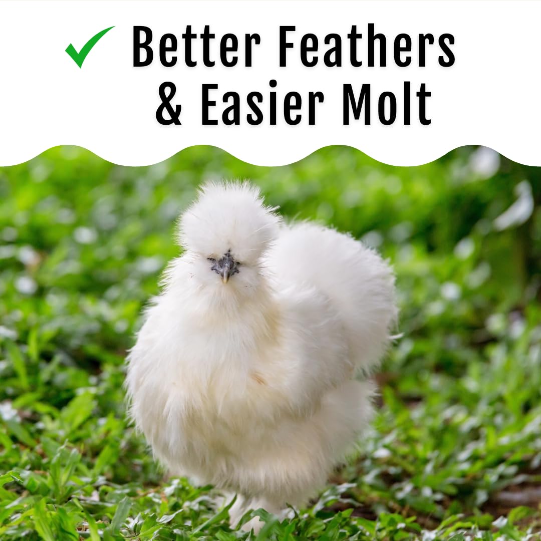 Buff Clucks GrubFuel resealable package, easy storage and freshness retention.