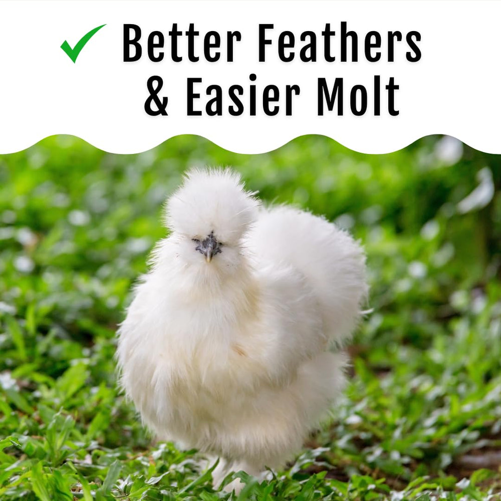 Buff Clucks GrubFuel resealable package, easy storage and freshness retention.