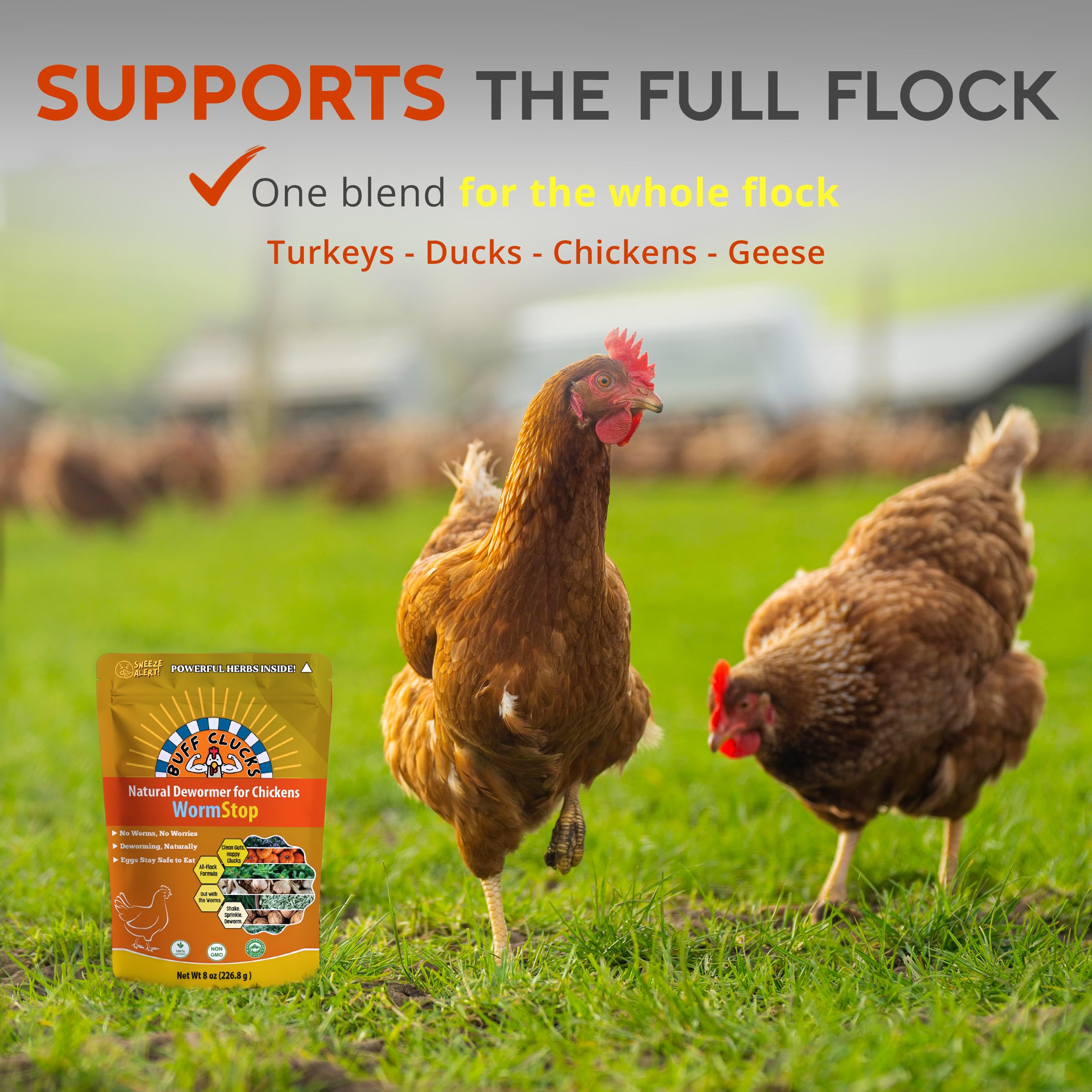 Buff Clucks WormStop eggsafe packaging indicates suitability for eggs and all ages