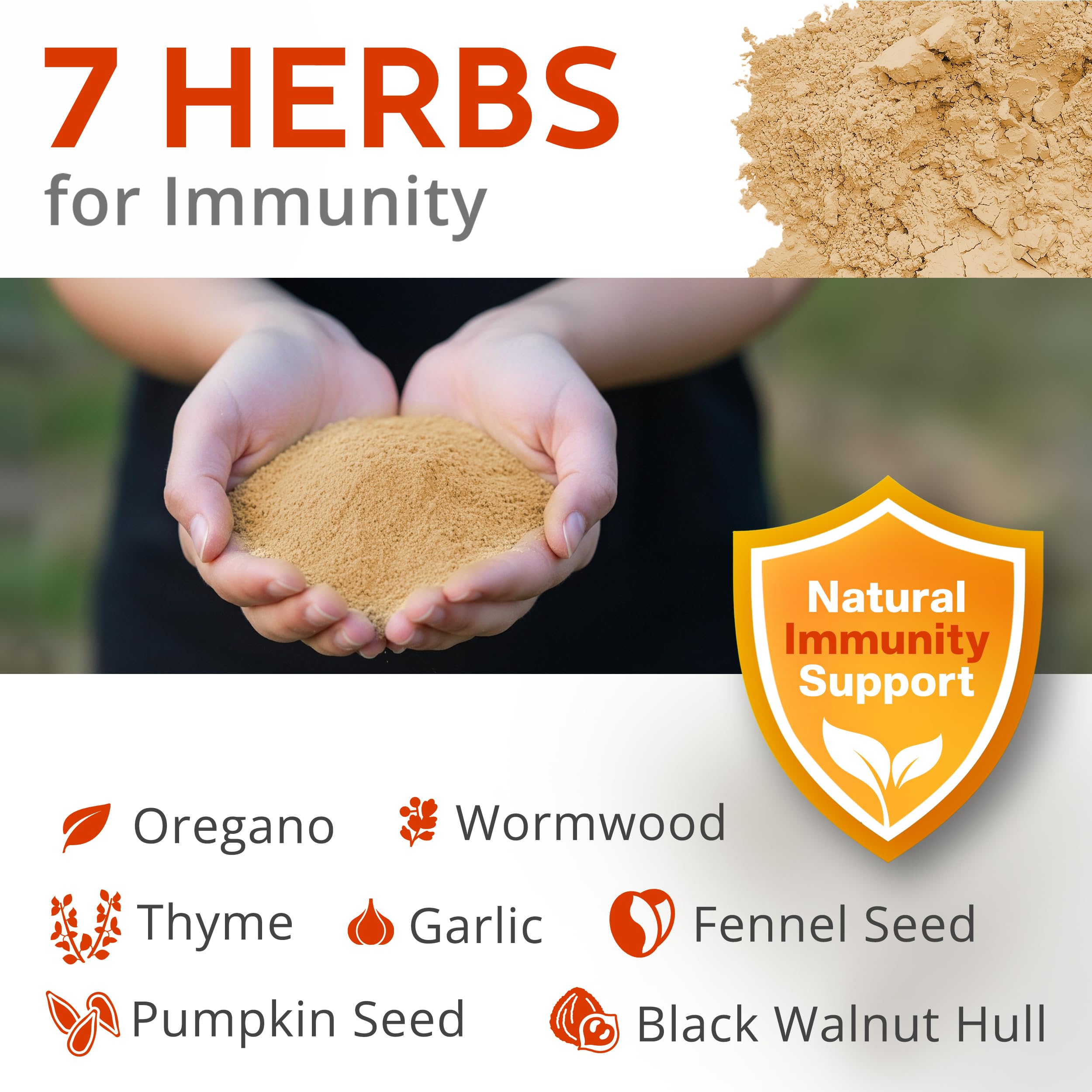 Buff Clucks WormStop wet-feed option versatile feeding for busy coops