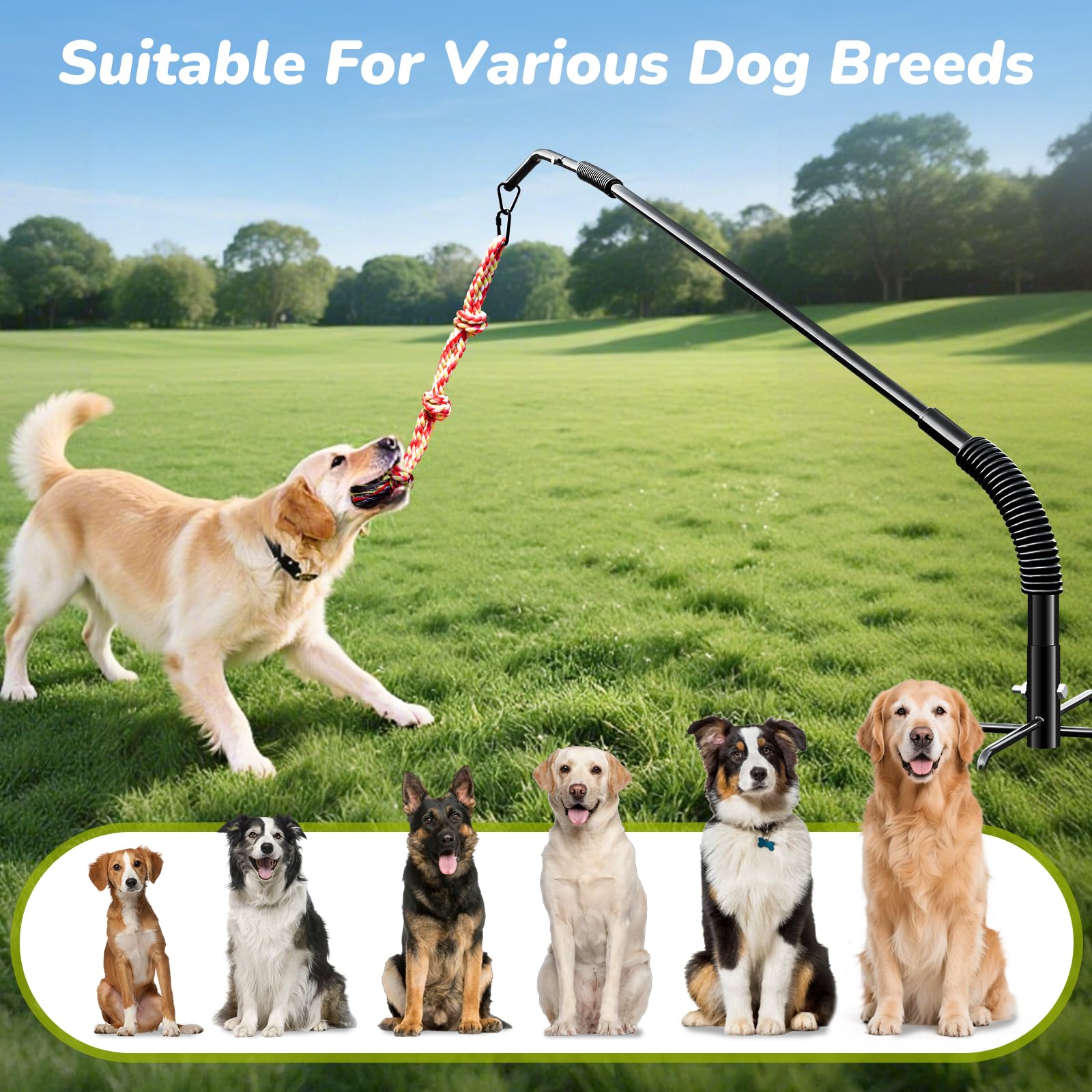 BUFOR adjustable height settings fit dogs of all sizes