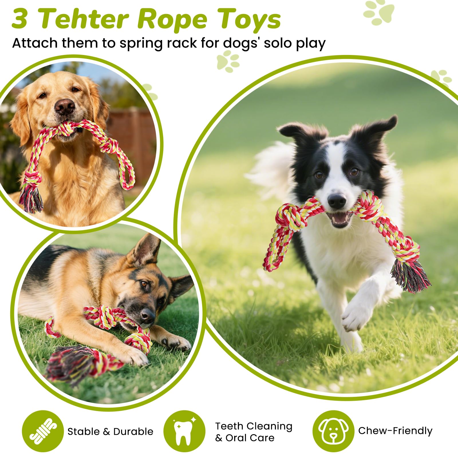 BUFOR hands-free design lets dogs play while reducing owner strain